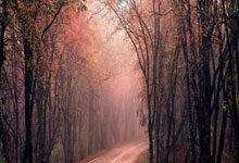 [亚冬会]中国队夺得速度滑冰男子短距离团体追逐赛金牌.