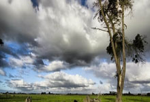 壹号娱乐：2022HHI世界街舞锦标赛中国赛总决赛：诞生7项冠军.