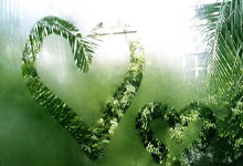 壹号娱乐下载：2022世界杯澳大利亞簡介.